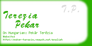 terezia pekar business card
