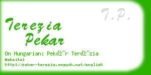 terezia pekar business card